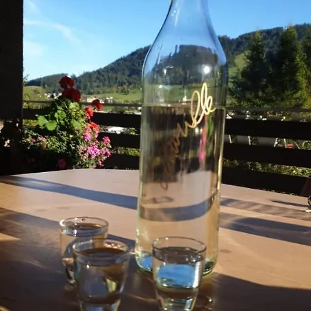 Guest house Leitenhof